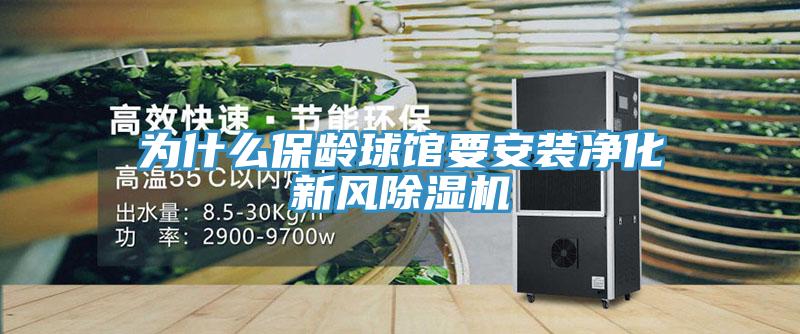 为什么保龄球馆要安装净化新风MR.好色破解版