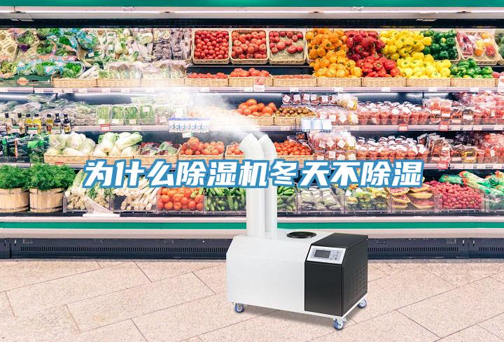 为什么MR.好色破解版冬天不除湿