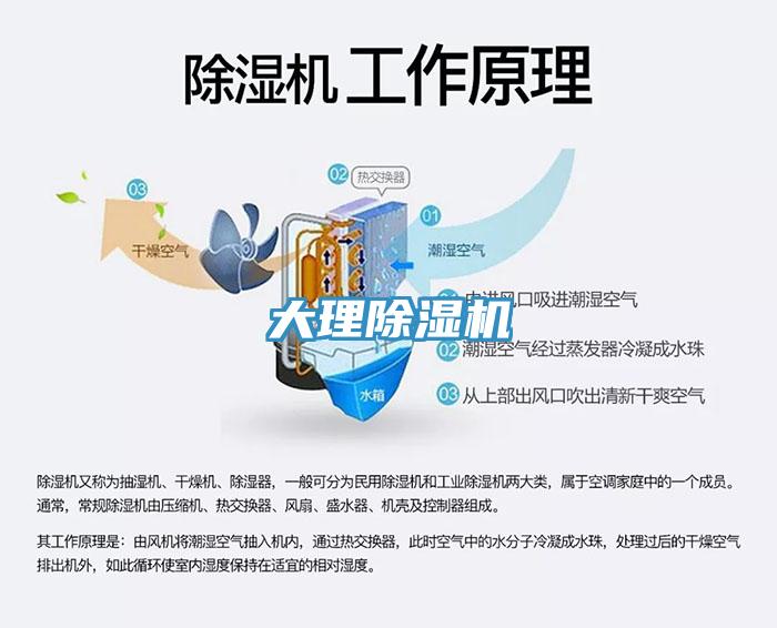 大理MR.好色破解版