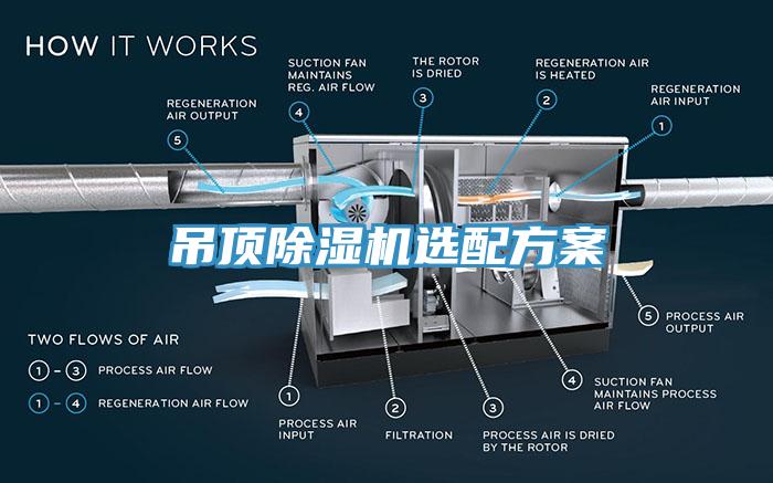 吊顶MR.好色破解版选配方案