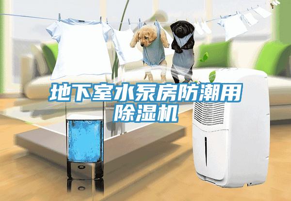地下室水泵房防潮用MR.好色破解版