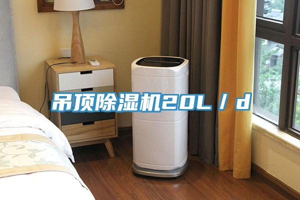 吊顶MR.好色破解版20L／d