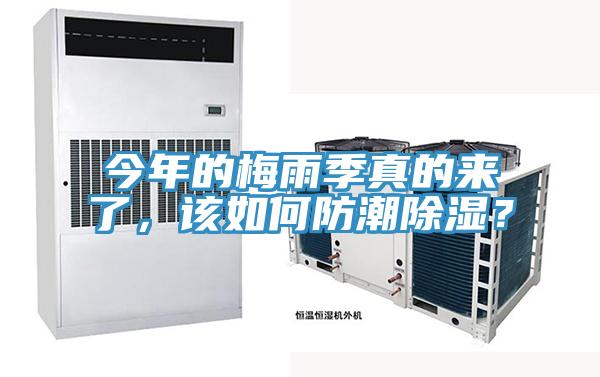 今年的梅雨季真的来了，该如何防潮除湿？
