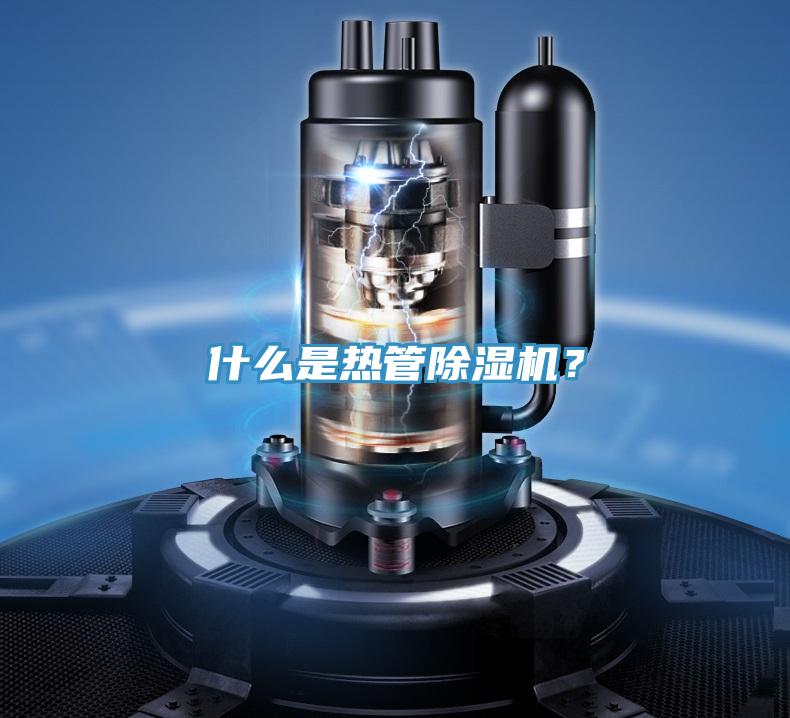 什么是热管MR.好色破解版？