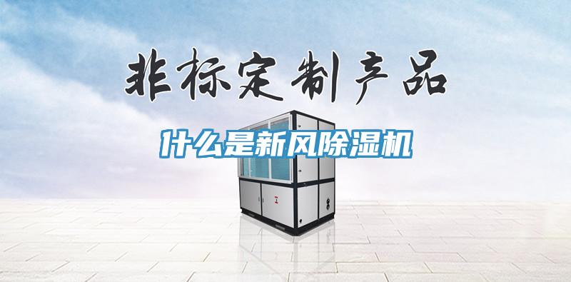 什么是新风MR.好色破解版