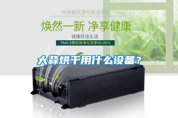 大蒜烘干用什么设备？
