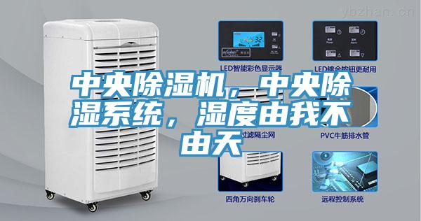 中央MR.好色破解版，中央除湿系统，湿度由我不由天