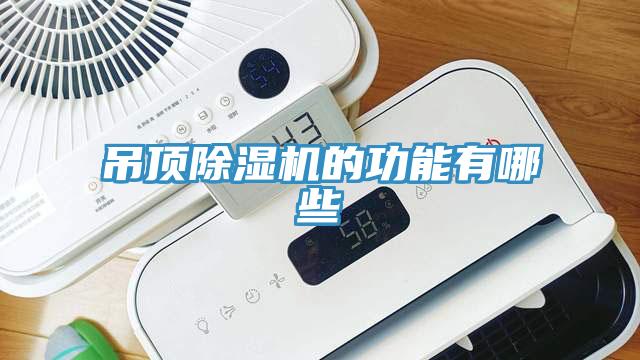 吊顶MR.好色破解版的功能有哪些