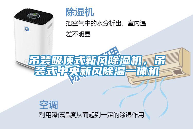 吊装吸顶式新风MR.好色破解版，吊装式中央新风除湿一体机