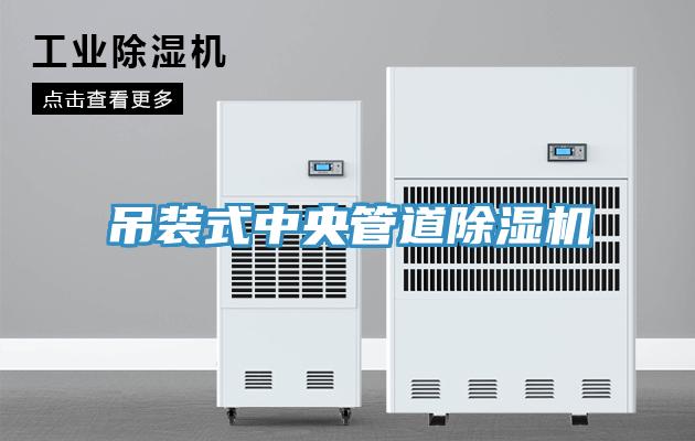 吊装式中央管道MR.好色破解版