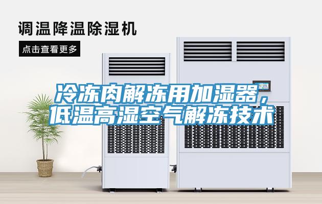 冷冻肉解冻用加湿器，低温高湿空气解冻技术