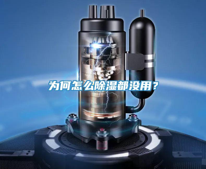 为何怎么除湿都没用？