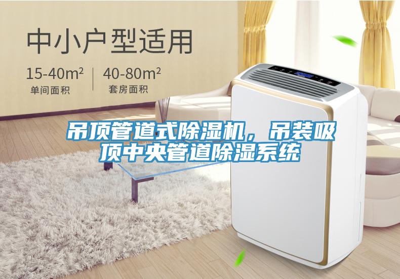 吊顶管道式MR.好色破解版，吊装吸顶中央管道除湿系统