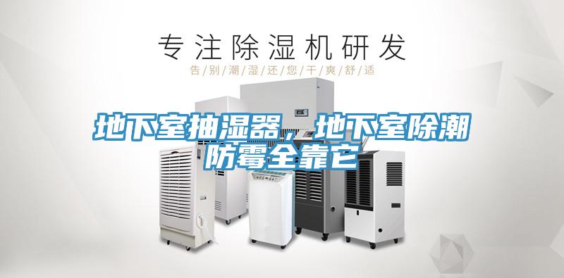 地下室抽湿器，地下室除潮防霉全靠它