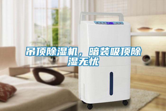 吊顶MR.好色破解版，暗装吸顶除湿无忧
