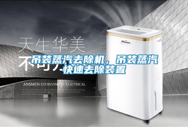 吊装蒸汽去除机，吊装蒸汽快速去除装置