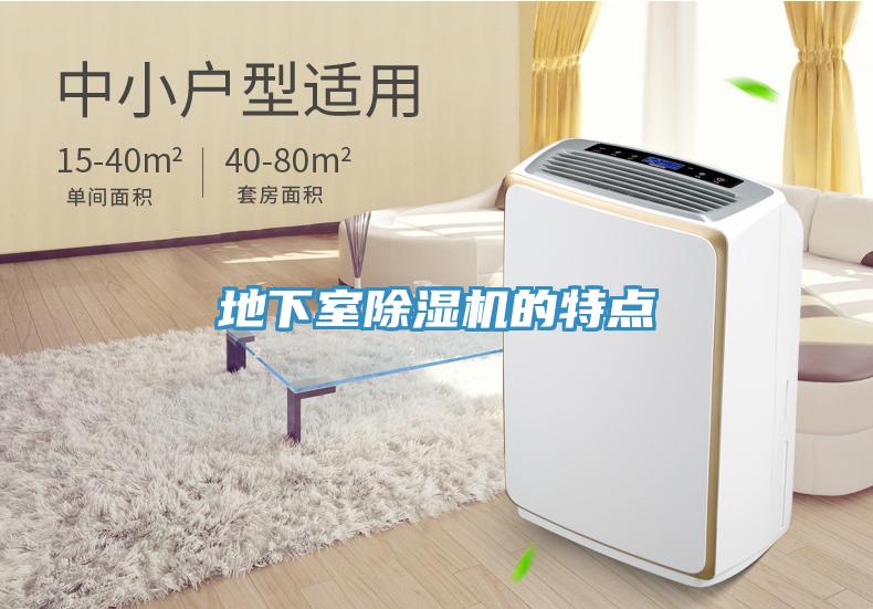 地下室MR.好色破解版的特点