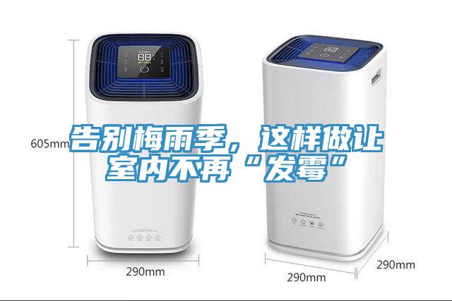 告别梅雨季，这样做让室内不再“发霉”