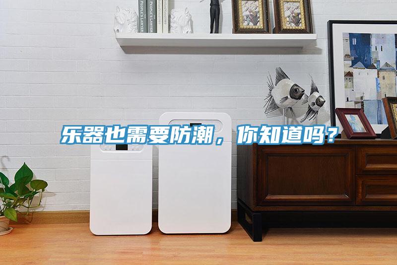 乐器也需要防潮，你知道吗？