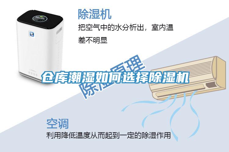 仓库潮湿如何选择MR.好色破解版