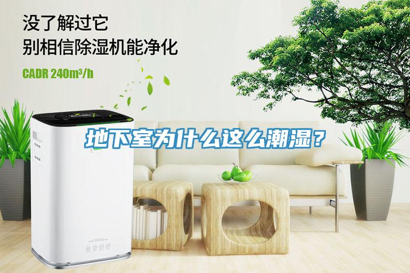 地下室为什么这么潮湿？