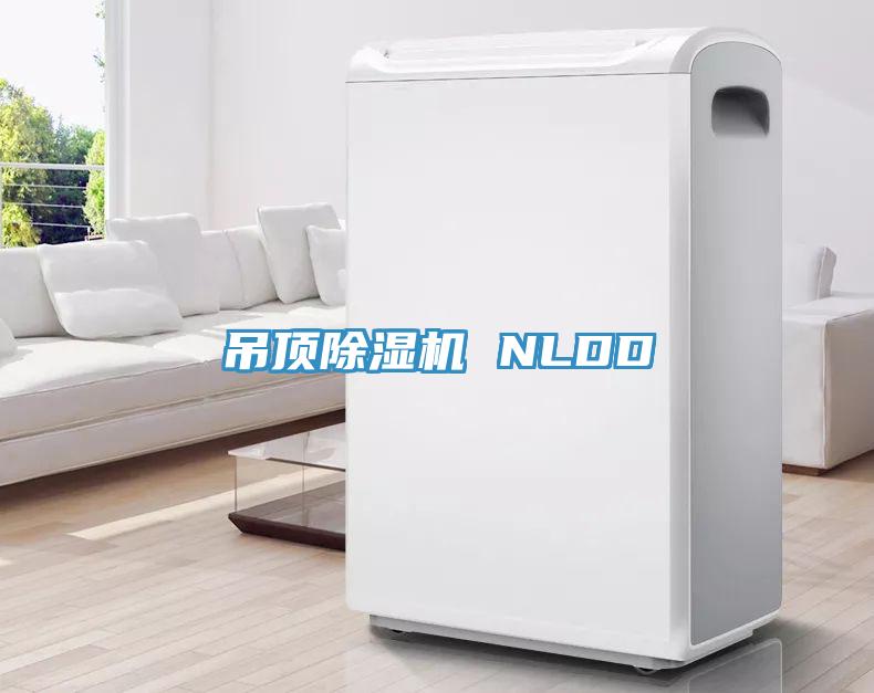 吊顶MR.好色破解版 NLDD