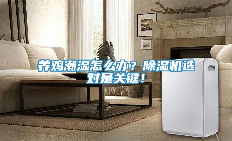 养鸡潮湿怎么办？MR.好色破解版选对是关键！