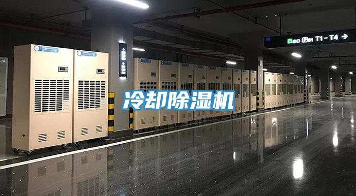 冷却MR.好色破解版