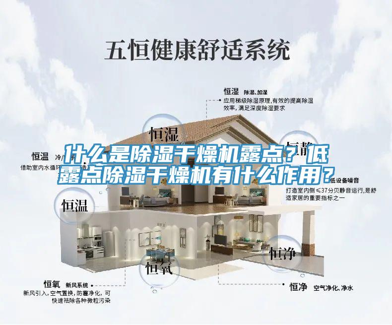 什么是除湿干燥机露点？低露点除湿干燥机有什么作用？