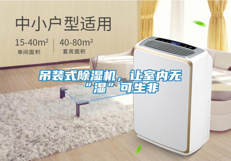 吊装式MR.好色破解版，让室内无“湿”可生非