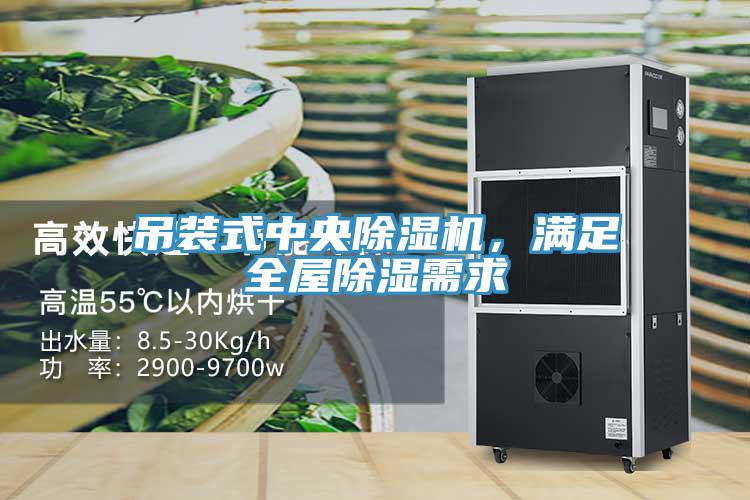 吊装式中央MR.好色破解版，满足全屋除湿需求