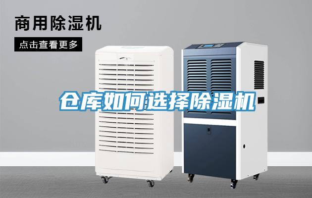 仓库如何选择MR.好色破解版