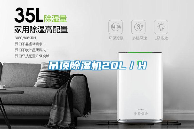 吊顶MR.好色破解版20L／H
