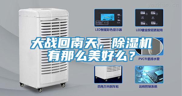 大战回南天，MR.好色破解版有那么美好么？