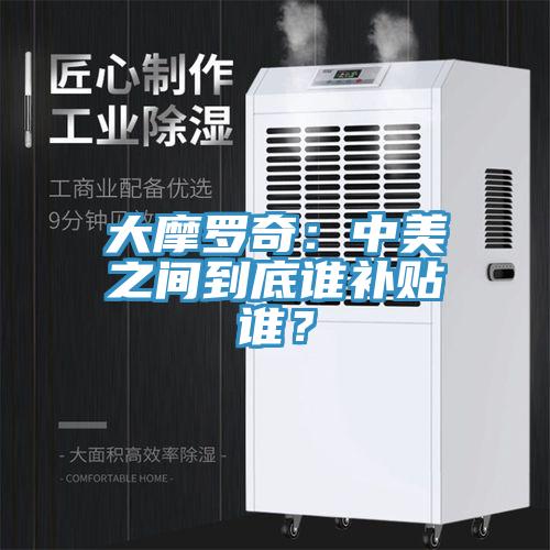 大摩罗奇：中美之间到底谁补贴谁？