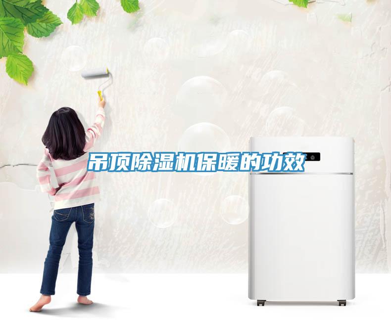 吊顶MR.好色破解版保暖的功效