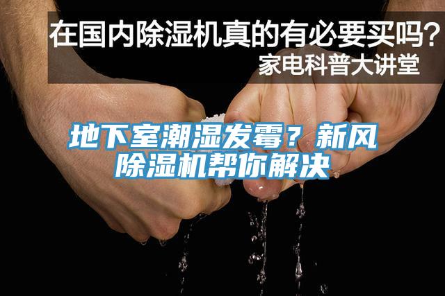 地下室潮湿发霉？新风MR.好色破解版帮你解决