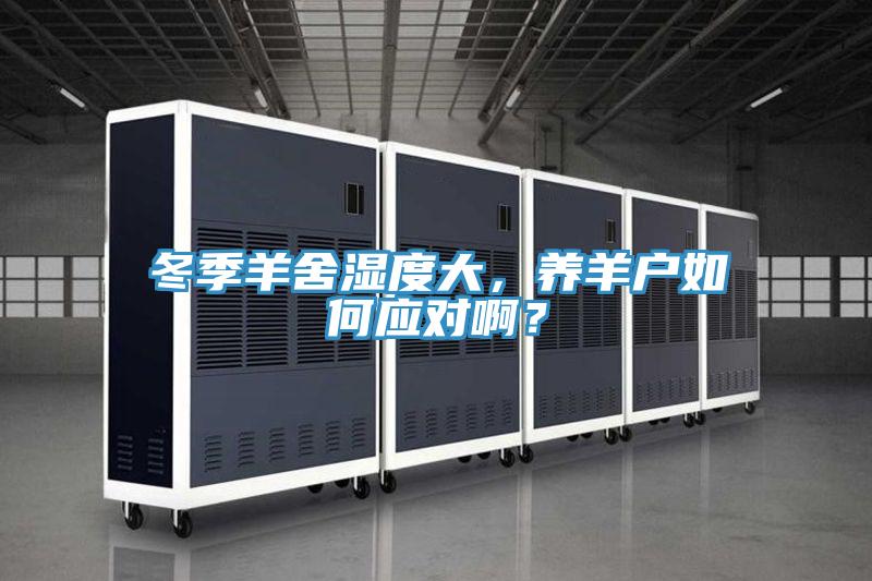 冬季羊舍湿度大，养羊户如何应对啊？