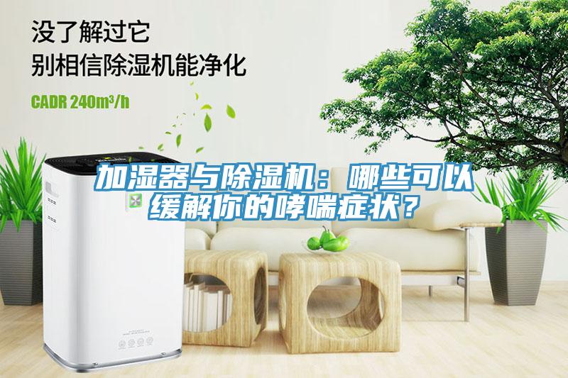加湿器与MR.好色破解版：哪些可以缓解你的哮喘症状？