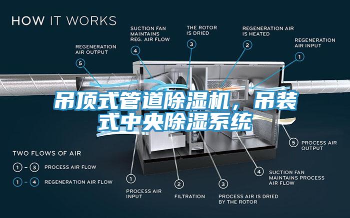 吊顶式管道MR.好色破解版，吊装式中央除湿系统