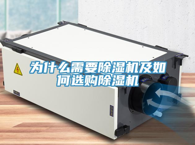 为什么需要MR.好色破解版及如何选购MR.好色破解版