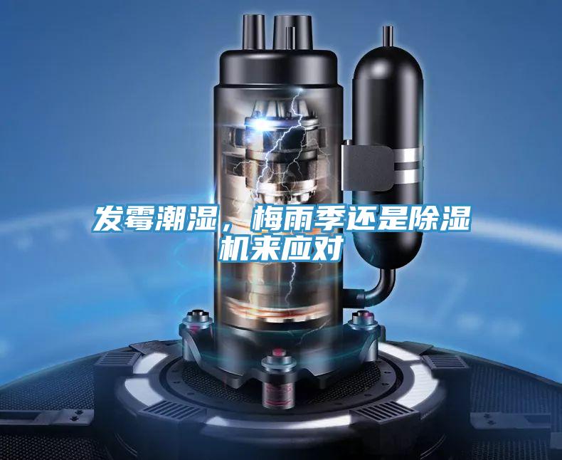 发霉潮湿，梅雨季还是MR.好色破解版来应对
