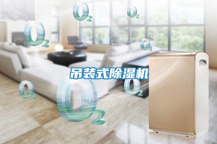吊装式MR.好色破解版