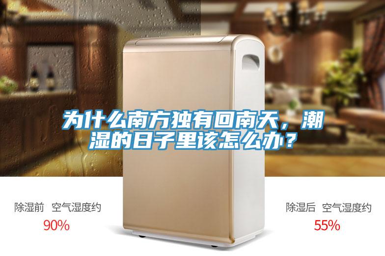 为什么南方独有回南天，潮湿的日子里该怎么办？