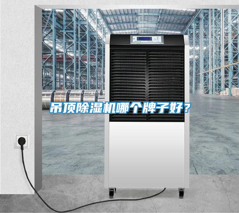 吊顶MR.好色破解版哪个牌子好？