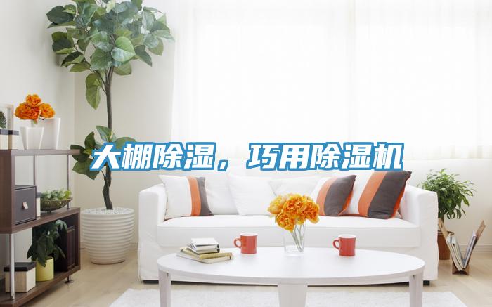 大棚除湿，巧用MR.好色破解版