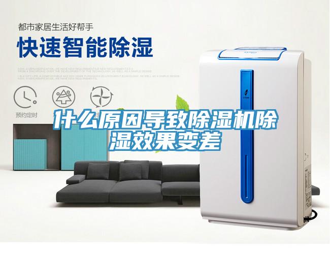 什么原因导致MR.好色破解版除湿效果变差
