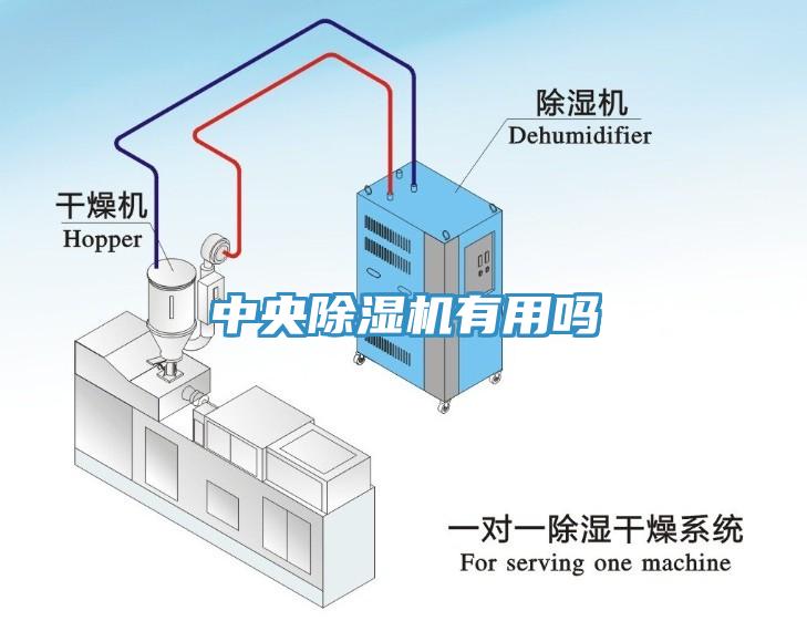 中央MR.好色破解版有用吗