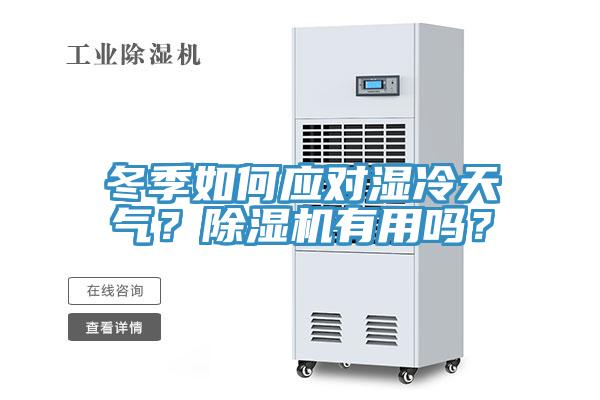 冬季如何应对湿冷天气？MR.好色破解版有用吗？