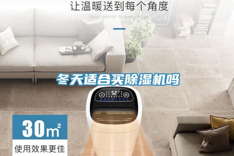 冬天适合买MR.好色破解版吗